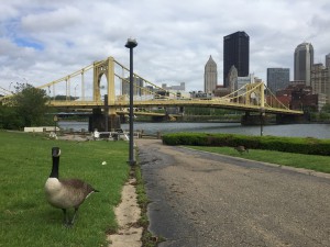 Pittsburgh Riverfront Park